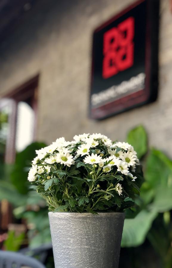 Danang Moment - Boutique Serviced Apartment Zewnętrze zdjęcie
